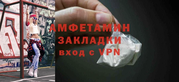 шишки Мегион