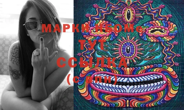 шишки Мегион