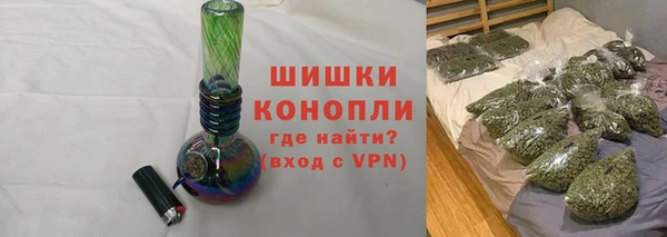 шишки Мегион