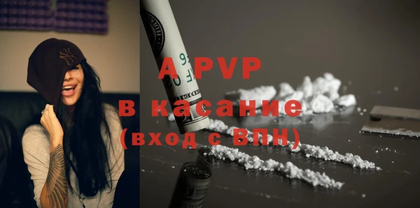 шишки Мегион