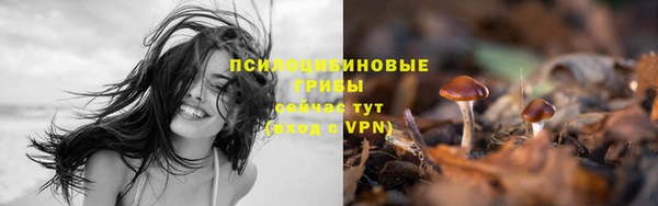 молекула духа Медногорск