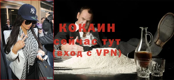 шишки Мегион