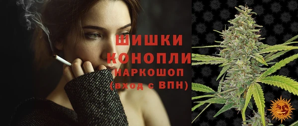 молекула духа Михайлов