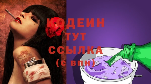 шишки Мегион