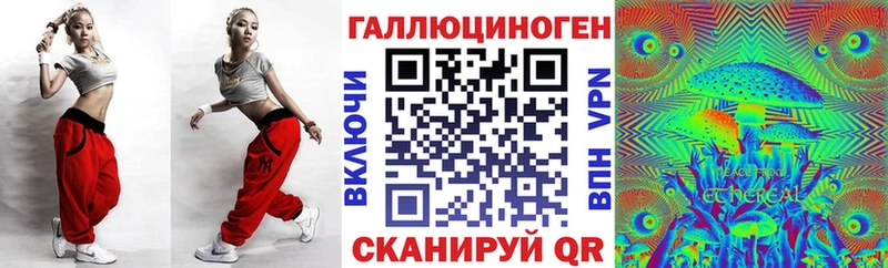 хочу   Лодейное Поле  Псилоцибиновые грибы Cubensis 